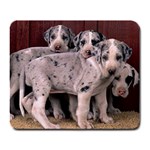 Harlequin - Great Danes - Quality Large Dog Lovers Mouse Pad