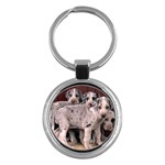 Harlequin - Great Danes - Quality Dog Lovers Round Keychain