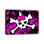 Punk Skull Princess Mini Canvas 7  x 5  (Stretched)