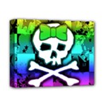 Rainbow Skull Deluxe Canvas 14  x 11  (Stretched)