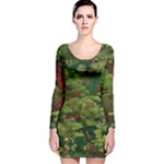 Redwood & Moss Long Sleeve Velvet Bodycon Dress