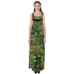 Redwood & Moss Empire Waist Maxi Dress