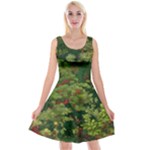 Redwood & Moss Reversible Velvet Sleeveless Dress
