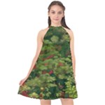 Redwood & Moss Halter Neckline Chiffon Dress 