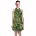 Redwood & Moss Velvet Halter Neckline Dress 