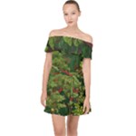Redwood & Moss Off Shoulder Chiffon Dress