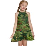 Redwood & Moss Kids  Halter Collar Waist Tie Chiffon Dress
