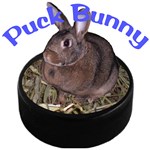 Puck Bunny 1