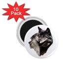 Wolf Head  1.75  Magnet (10 pack) 