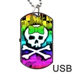 Rainbow Skull Dog Tag USB Flash (Two Sides)