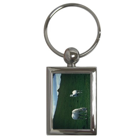 Two White Horses 0002 Key Chain (Rectangle) from ArtsNow.com Front