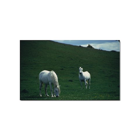 Two White Horses 0002 Sticker (Rectangular) from ArtsNow.com Front
