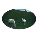 Two White Horses 0002 Magnet (Oval)