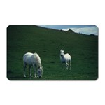 Two White Horses 0002 Magnet (Rectangular)