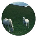 Two White Horses 0002 Magnet 5  (Round)