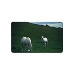 Two White Horses 0002 Magnet (Name Card)