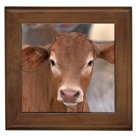 Brown Cow  0003 Framed Tile from ArtsNow.com Front