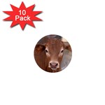Brown Cow  0003 1  Mini Magnet (10 pack) 