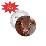 Brown Cow  0003 1.75  Button (10 pack) 