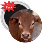 Brown Cow  0003 3  Magnet (10 pack)