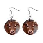 Brown Cow  0003 1  Button Earrings