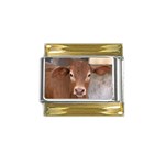Brown Cow  0003 Gold Trim Italian Charm (9mm)