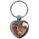 Brown Cow  0003 Key Chain (Heart)