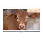 Brown Cow  0003 Business Card Holder