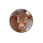 Brown Cow  0003 Hat Clip Ball Marker