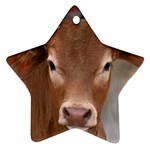 Brown Cow  0003 Star Ornament (Two Sides)