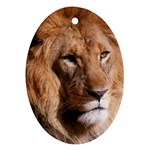 Lion 0006 Ornament (Oval)