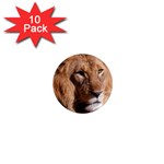 Lion 0006 1  Mini Magnet (10 pack) 