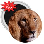 Lion 0006 3  Magnet (10 pack)