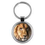 Lion 0008 Key Chain (Round)