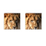 Lion 0008 Cufflinks (Square)