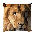 Lion 0008 Cushion Case (Two Sides)