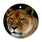 Lioness 0009 Round Ornament (Two Sides)
