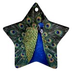 Peocock 0010 Ornament (Star)