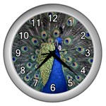 Peocock 0010 Wall Clock (Silver)