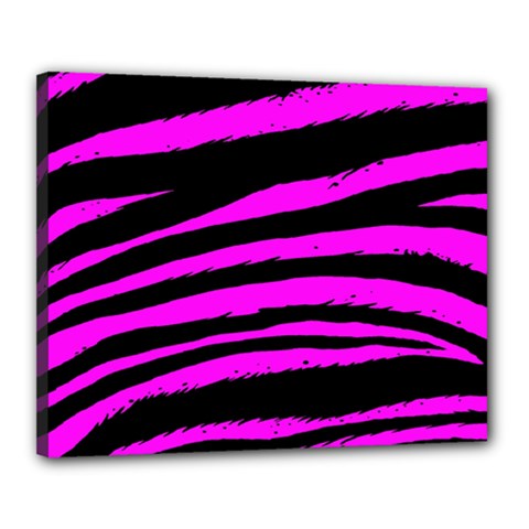 Pink Zebra Canvas 20  x 16  (Stretched) from ArtsNow.com