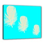 Feathers of the Sea Canvas 24  x 20  (Stretched)