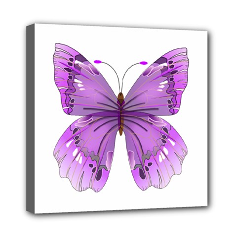 Purple Awareness Butterfly Mini Canvas 8  x 8  (Framed) from ArtsNow.com