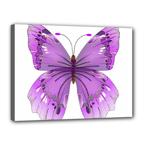 Purple Awareness Butterfly Canvas 16  x 12  (Framed) from ArtsNow.com