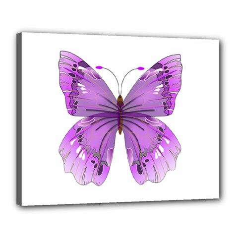 Purple Awareness Butterfly Canvas 20  x 16  (Framed) from ArtsNow.com