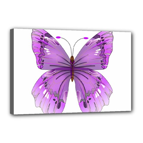 Purple Awareness Butterfly Canvas 18  x 12  (Framed) from ArtsNow.com