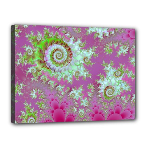 Raspberry Lime Surprise, Abstract Sea Garden  Canvas 16  x 12  (Framed) from ArtsNow.com