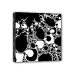 Special Fractal 04 B&w Mini Canvas 4  x 4  (Framed)