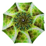 Dawn of Time, Abstract Lime & Gold Emerge Straight Umbrella