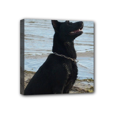 Black German Shepherd Mini Canvas 4  x 4  (Framed) from ArtsNow.com