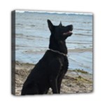 Black German Shepherd Mini Canvas 8  x 8  (Framed)